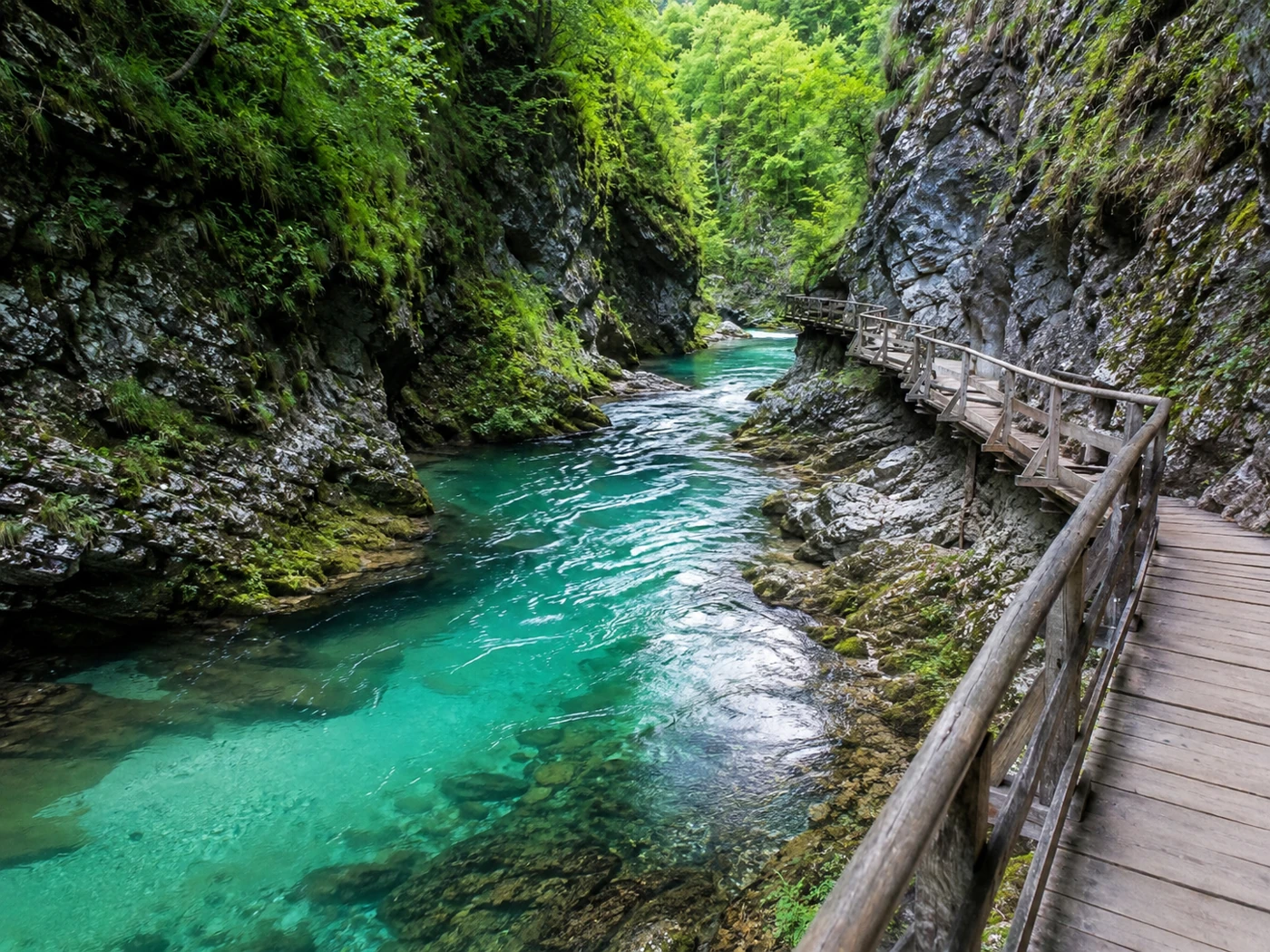 Randonnée autour de Bled, Bohinj et Pokljuka
